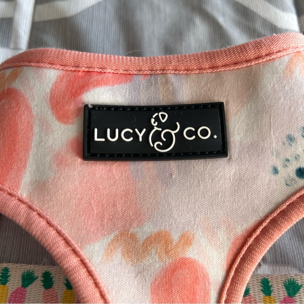 LUCY & CO REVERSIBLE HARNESS